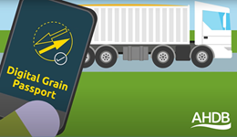 Introduction to the Digital Grain Passport